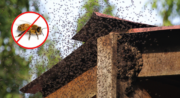 world group facility Services