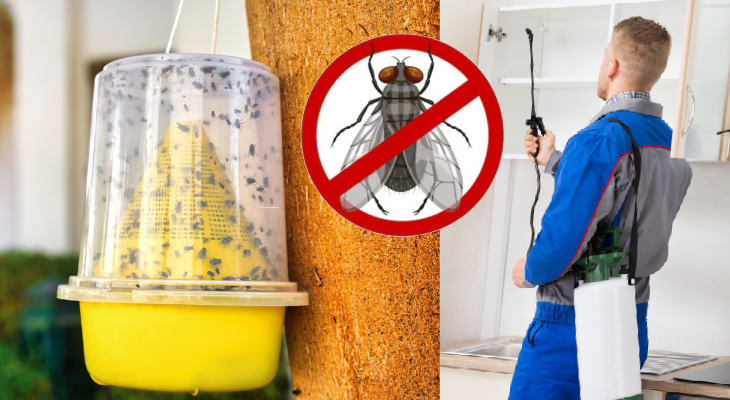 world group facility Services