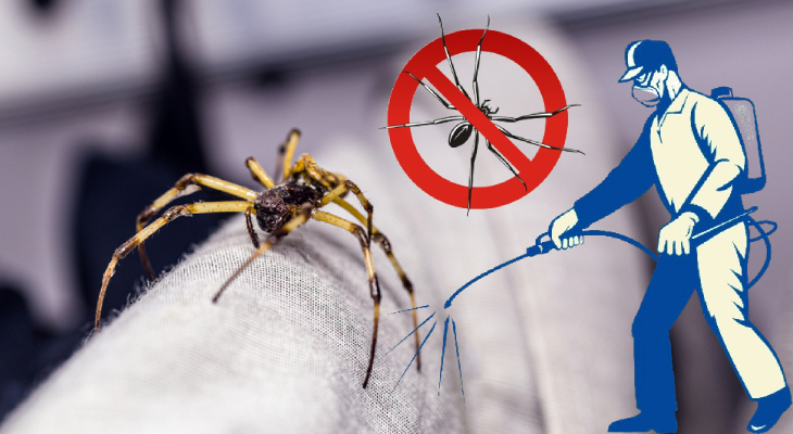 world group facility Services